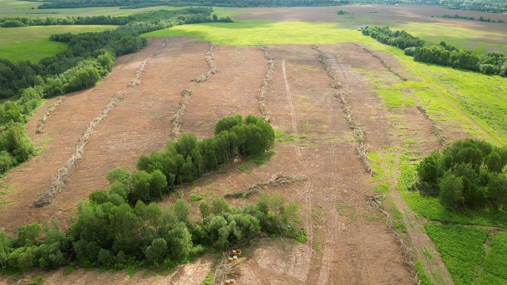 Разработка залежной земли