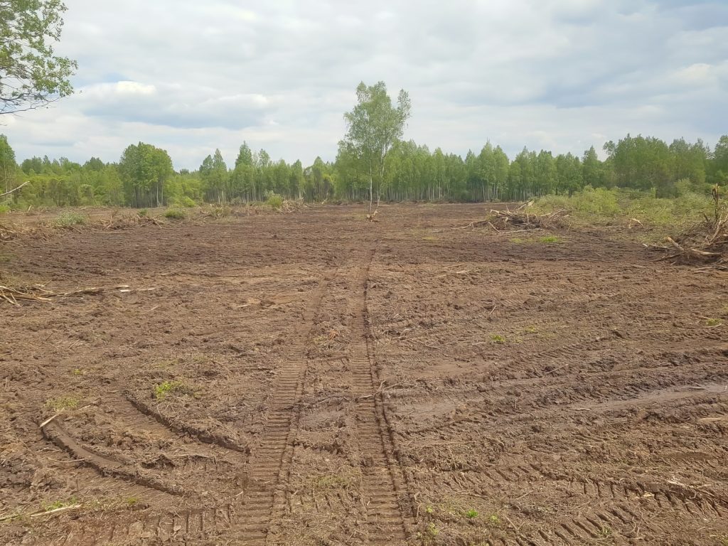 Разработка залежной земли